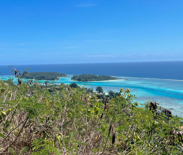 Moorea